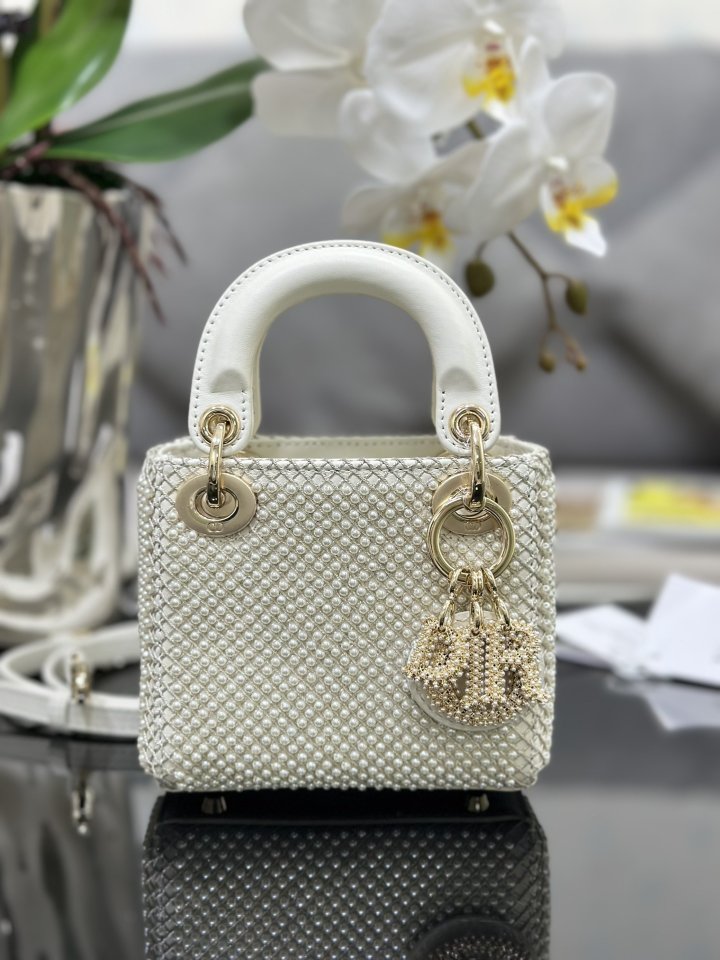 Dior Lady Dior Handbag · S0856 Dior · Handbag